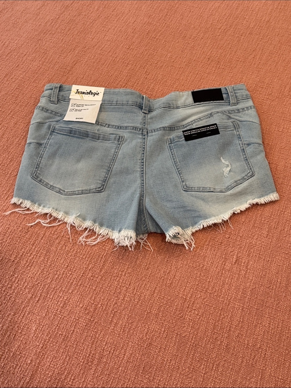 NWT W33L2.5” distressed Light Blue Frayed Hem Denim Shorts size 10 wm’s